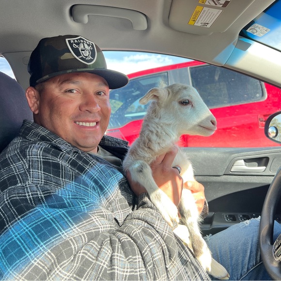 Meet your Posher, Bo - Picture 7 of 8